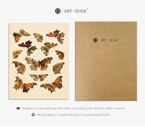 A ART·ZONE Vintage Botanical Butterfly Bird Prints Unframed 10Pcs Poster - Image 7