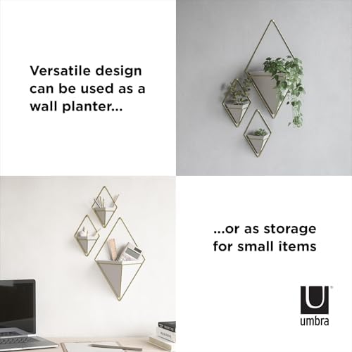 Umbra Trigg Hanging Planter for Small Plants - Image 6
