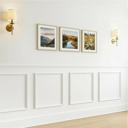 Peel and Stick Wall Molding, 4 Set 20" x 20" Pre Cut Wainscoting Panels by TonhoDawnhawk