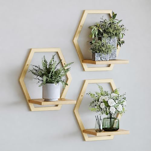 3 Pack Hexagon Wall Plant Stands, 9 Inch Wood Shelf Golden by HomecourtyardsInterio