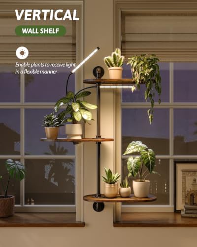 GENTINGBRO Window Plant Shelves 3-Tier - Image 4