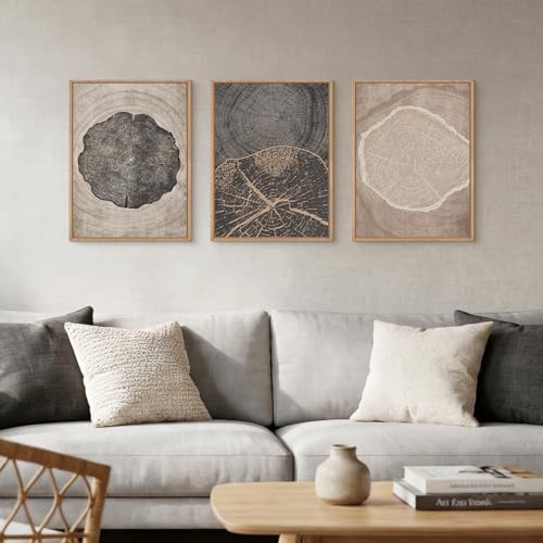 HOURIA Tree Ring Abstract Neutral Brown Framed Canvas Wall Art Set, Mid Century - Image 2