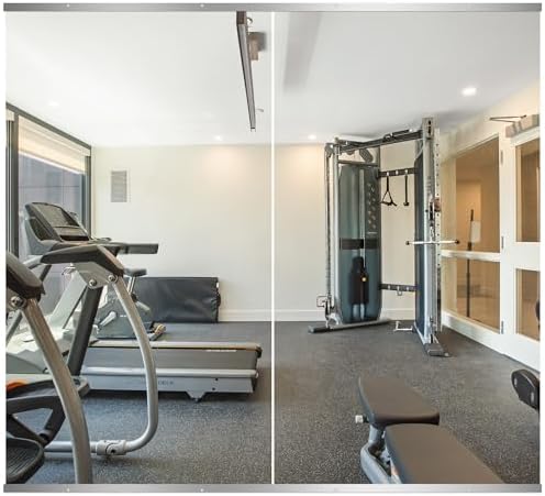 Delma Home Gym Mirror by Delma