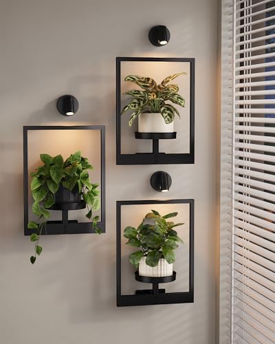 Bamworld Hanging Planters for Indoor Plants Wall Decor Living Room Light by Bamworld