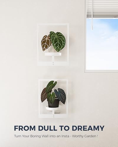 Bamworld Wall Plant Holder Plant Stand Indoor Wall Planters White - Image 2