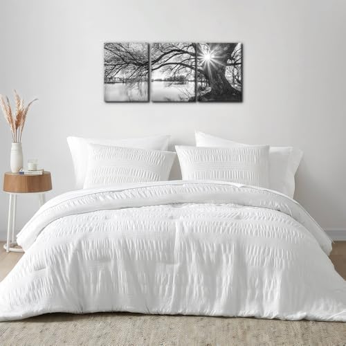 Pacimo Canvas Print Wall Art Old Tree by Lake Nature Photography Modern Home - Image 3