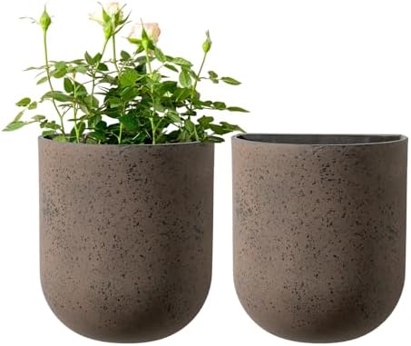 LA JOLIE MUSE Wall Planters for Indoor Plants, Hanging Flower Pots, 2 Pack by LaJol%C3%ADeMuse