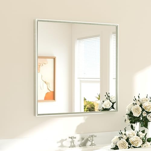 TETOTE Brushed Nickel Bathroom Mirror by TETOTE