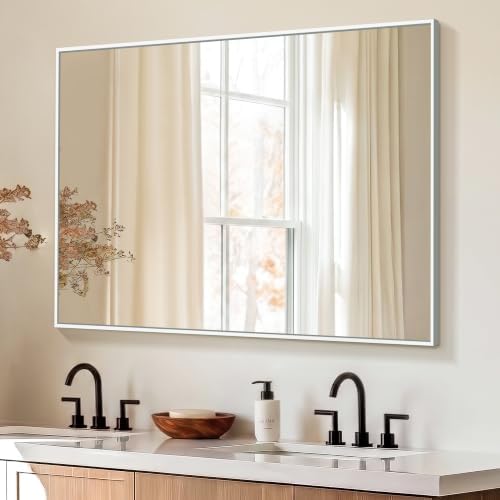Delma Bathroom Vanity Mirror, 48x30 Silver Metal Framed Mirror by Delma