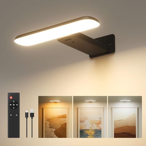 Picture Lights for Wall Rechargeable, Picture Frame Lights, Dartboard Light by FULEN