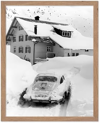 Poster Master Ski Print by PosterMaster