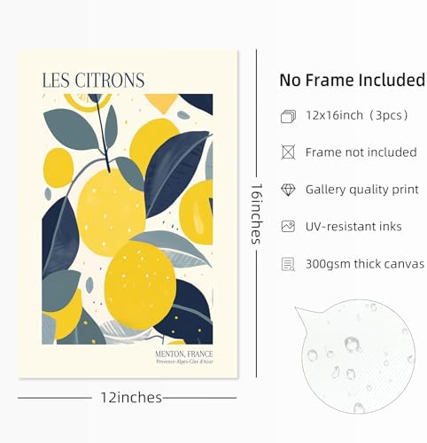 Fruit Market Wall Art Decor Kitchen Lemon Pictures Wall Art Fruit Botanical - Image 2