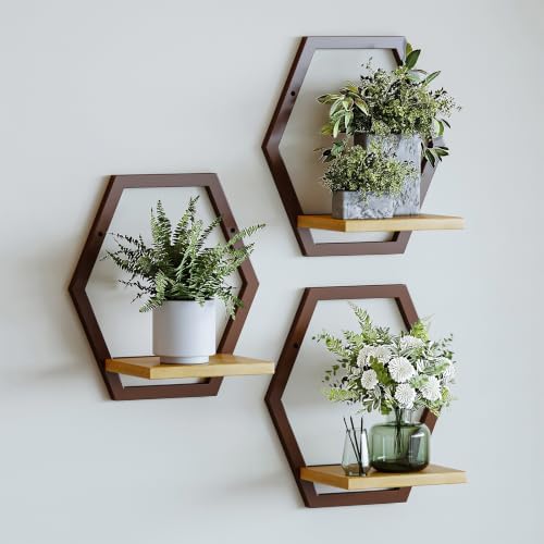 3 Pack Hexagon Wall Plant Stands, 9 Inch Wood Shelf by HomecourtyardsInterio