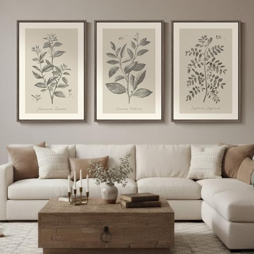 Large Framed 3 Piece Vintage Botanical Wall Art by Cuspin