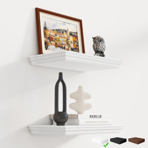 Fun Memories Floating Shelves, 16 Inch Long, 9.3 Inch Deep, 2 Pack by FunMemories