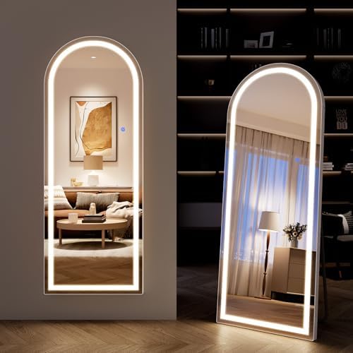 68" x 26" Arched Full Length Mirror by WISSMIELSHOME