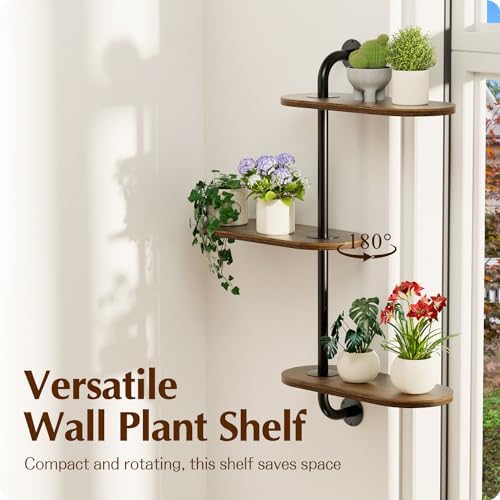 Rotating Window Plant Shelves 3-Tier, Wooden Window Shelf - Image 6