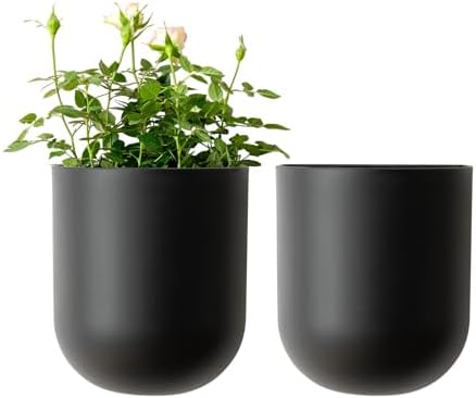 LA JOLIE MUSE Wall Planters for Indoor Plants, Hanging Flower Pots, 2 Pack by LaJol%C3%ADeMuse