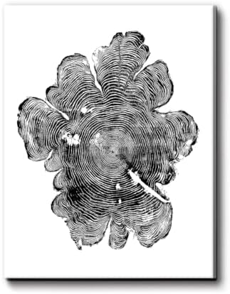 IBHJSART Oregon Western Red Cedar, woodcut print, Woodcore art, tree ring print by IBHJSARTWallArt