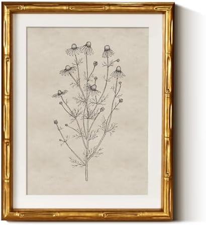 InSimSea Gold Bamboo Framed Wall Art, Chamomile Botanical Prints by InSimSeaArt