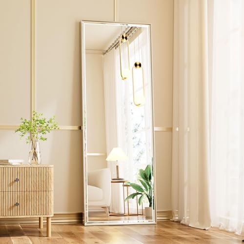 16x60 Inch Brushed Nickel Rectangle Full Length Mirror by QUEENFUN