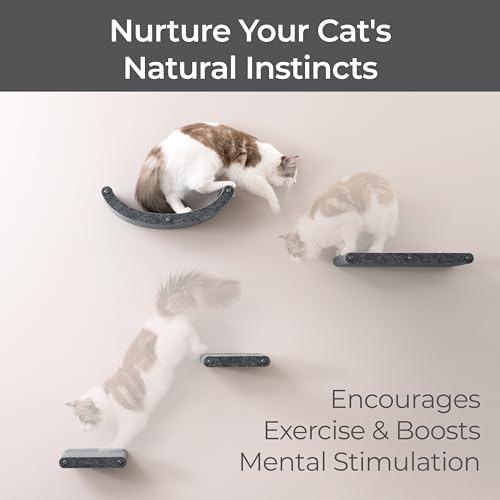 Cat Wall Shelves Set - Image 5
