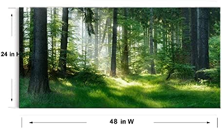 Morning Sunlight Forest Large Stretched Canvas Wall Art - Image 4