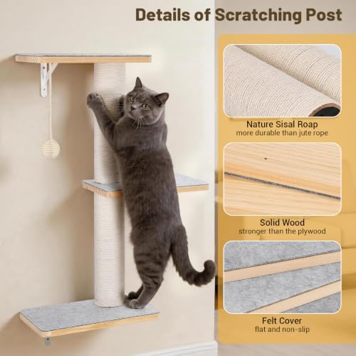 Wall Mounted Cat Shelves Set - Image 5
