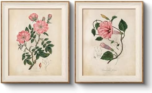 VIYYIEA Framed Retro Pink Rose Painting Botanical Wall Art Set, 8×10 Inch by VIYYIEAART