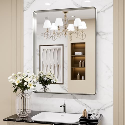 LOAAO 22X30 Inch Brushed Nickel Bathroom Mirror by LOAAO