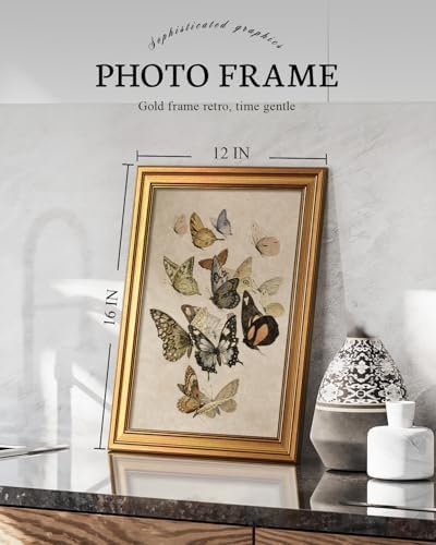 VIYYIEA Gold Framed Vintage Multi Butterflies Wall Art, 16L x 12 Inch - Image 2