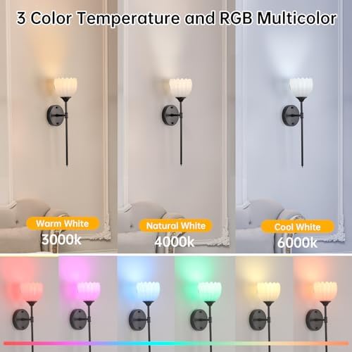 Shenmoyl Battery Operated Wall Sconce Set of 2 - Image 3