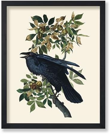 Poster Master Vintage James Audubon Poster by PosterMaster