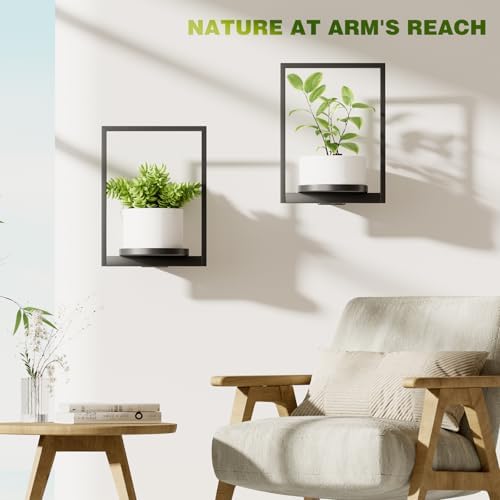 Hanging Planters for Indoor Plants - Image 5