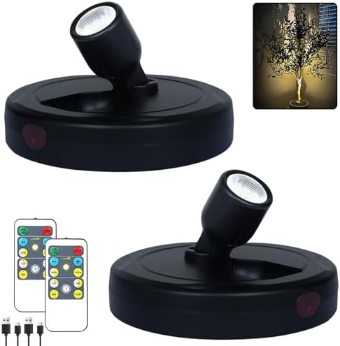 HAMVIDNE LED Spotlights Indoor, Rechargeable Battery Picture Display Lights by HAMVIDNE