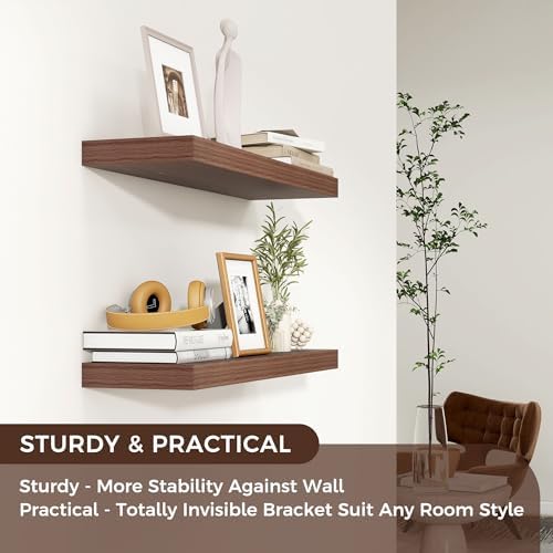 24" Wide x 6.5" Deep Floating Shelves - Image 4