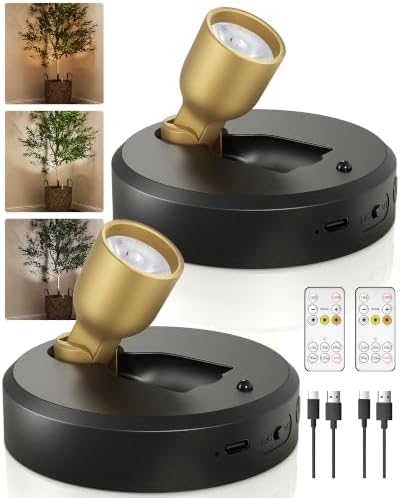 EZVALO Spot Lights Indoor, Plant Uplights, Accent Lighting by EZVALO