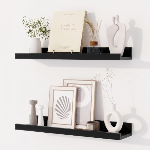 Dreamland Picture Ledge Shelf for Wall, Floating Shelves Set of 2, 20 inch Long by Dreamland