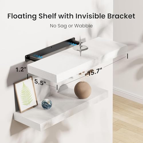 Amada 15.7" Floating Shelves for Wall Decor & Storage - Image 3