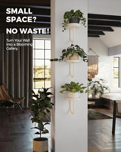 Bamworld Wall Plant Holder for Hanging Planters - Image 4