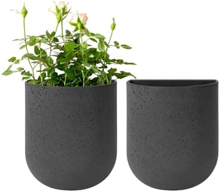 LA Jolie Muse Wall Planters for Indoor Plants, Hanging Flower Pots, 2 Pack by LaJol%C3%ADeMuse