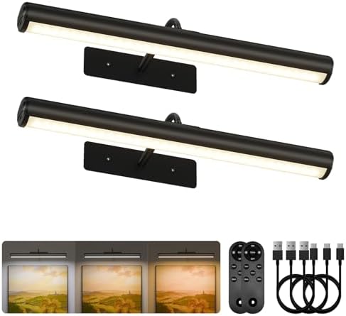 EZVALO 16in Picture Lights for Wall, 6000mAh Rechargeable Art Lights by EZVALO