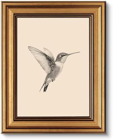 VIYYIEA Vintage Gold Framed Wall Art – Hummingbird Sketch, 8x10 IN by VIYYIEAART