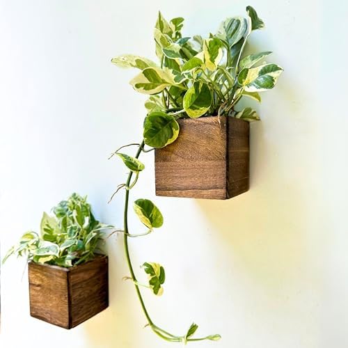 LaLaGreen Wood Planter Box Small Square Indoor Wall Planters by L%C3%A1L%C3%A1Green