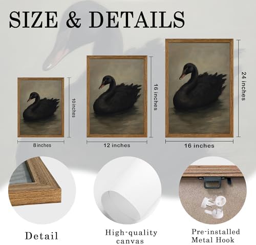 AVECCO Vintage Elegant Black Swan on Water Wall Art Canvas Framed 8x10 in - Image 6