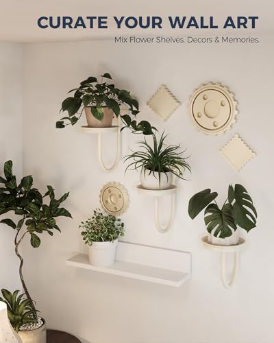 Bamworld Wall Plant Holder for Hanging Planters - Image 6
