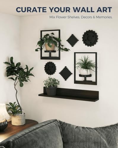 Bamworld Wall Plant Holder Plant Stand Indoor Wall Planters Black - Image 4