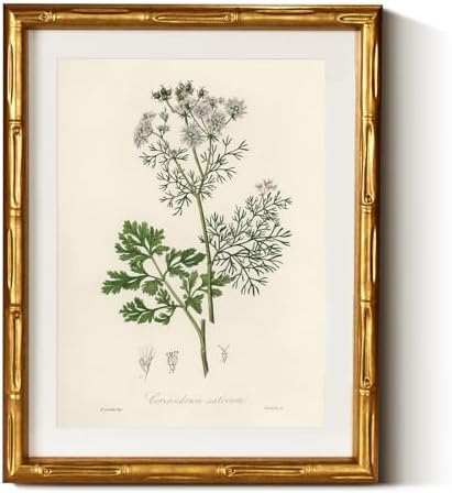 InSimSea Gold Bamboo Framed Wall Art, Plants Fern Botanical Prints by InSimSeaArt