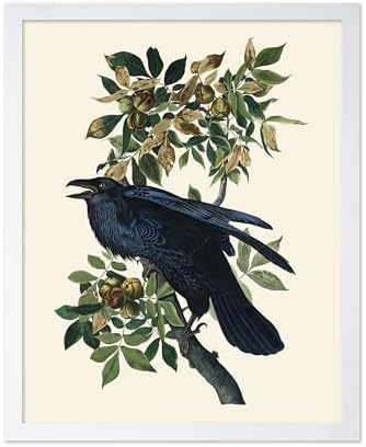 Poster Master Vintage John James Audubon Poster by PosterMaster