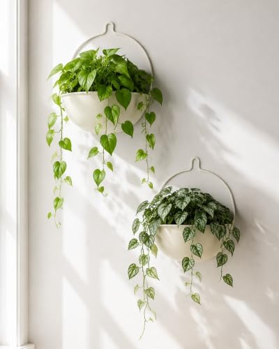 Bamworld 10.4 Inch Wall Planters by Bamworld